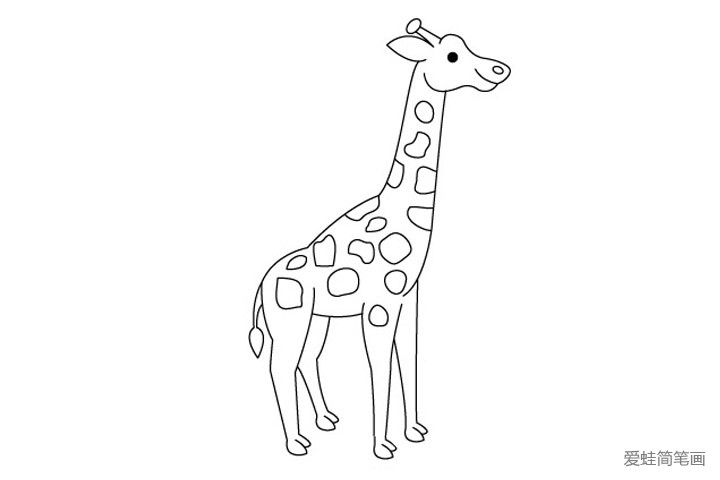 7.画上它另一条被遮挡的后腿，然后在身上各个部位画上长颈鹿的花纹。