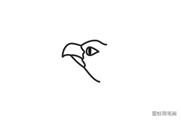 2.画出老鹰的嘴和头部轮廓。