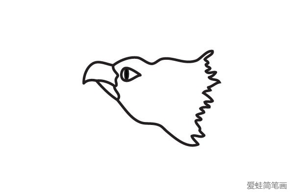 3.勾画老鹰的颈部和颈部的羽毛。