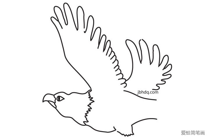 5.画另外一只翅膀和身体的轮廓。