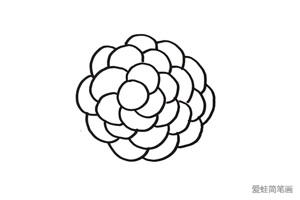 5.直到用不同形状的椭圆组成一串葡萄。