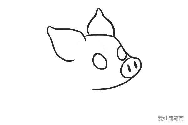 2.画小猪的耳朵、鼻子、眼睛轮廓。