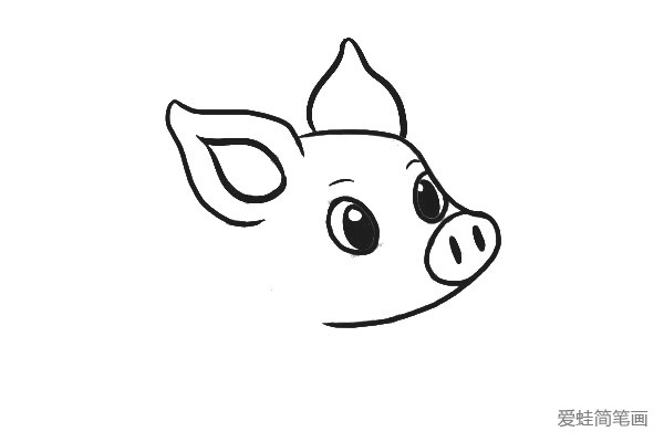3.勾画出小猪耳朵的厚度，再给它画上两只可爱的大眼睛和眉毛。