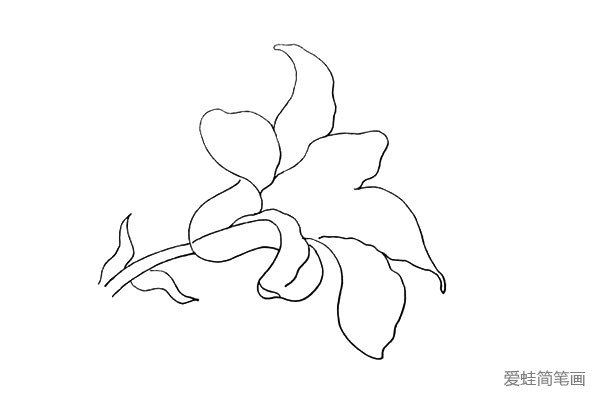 第八步:接着画出上方最后一片花瓣。