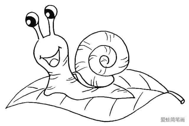 8.也要把蜗牛身上的纹路勾勒出来。