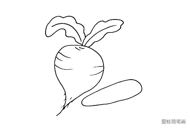 5.接下来在它的旁边画上一个胡萝卜.它的身体是细长的。