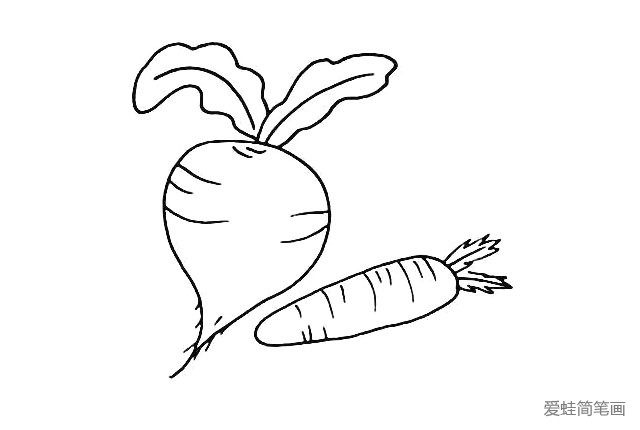 7.再给胡萝卜的果实上画上一些条纹来点缀一下。