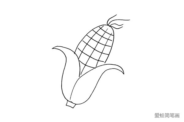 第四步:在果实的顶端用线条画出它的玉米须。