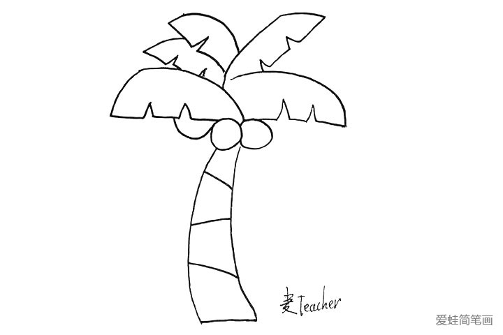 5.画出椰子树的树干。