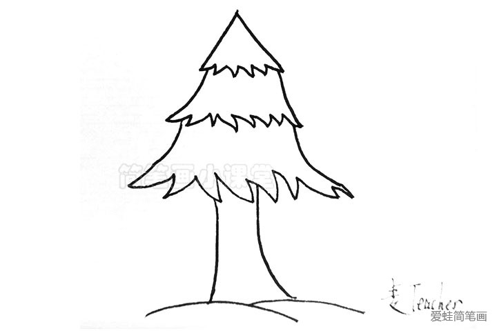 4.画出松树粗壮的树干。