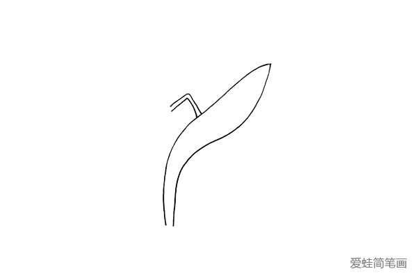 第二步:在叶子上画出它的花茎像一个数字七.注意茎的位置。