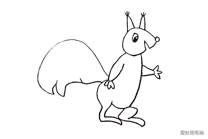 9.我们画出松鼠大大的尾巴。