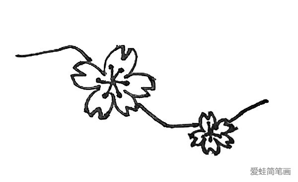 6.然后用一条折线将花朵串联起来。