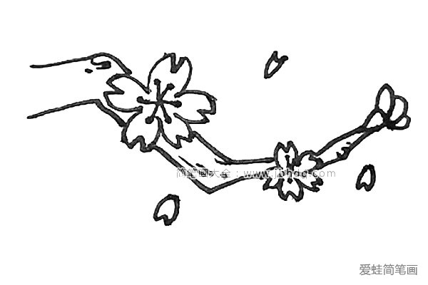 9.还需要用小短线给树枝加上一点纹理，在空中还能画上一点花瓣。