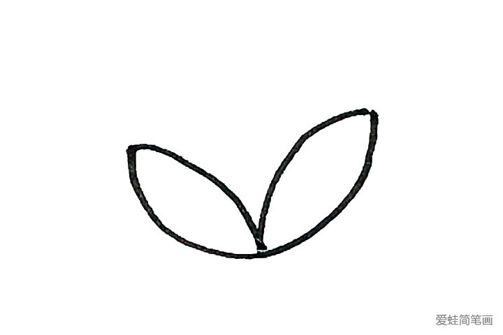 1.在纸上用椭圆形画出两片叶子的形状。