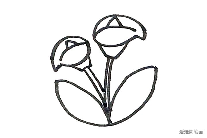 5.左边，用同样的方法再画上一个花朵。