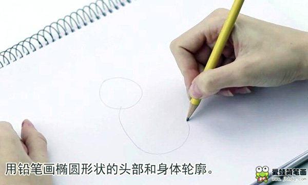1.用铅笔画椭圆形状的头部和身体轮廓。