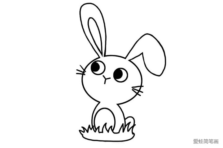 5.给小兔子画上身体和短短的兔尾巴。小兔子爱吃青草，我们再给它画上一点小草。