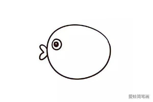 3.画上小鱼的眼睛。