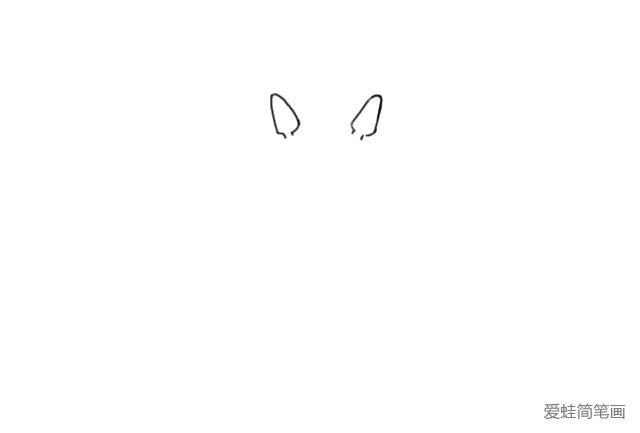 1.先画出龙猫的两只耳朵，像两个胡萝卜一样向外倾斜。
