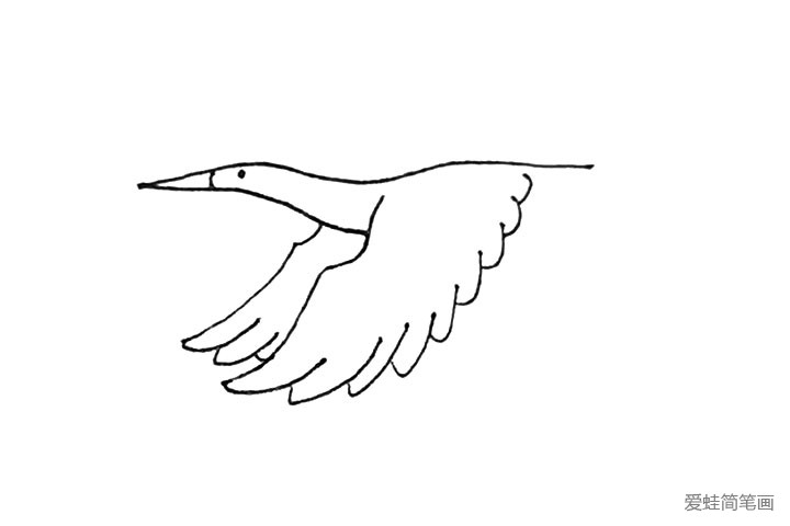 第五步：接着用长弧线，有点像波浪线的感觉画出翅膀羽毛。