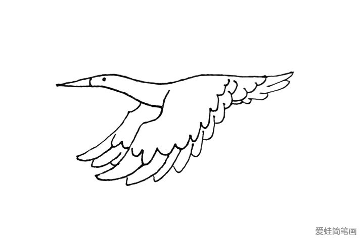第七步：尾部的羽毛也用同样的画法，注意要画两层。
