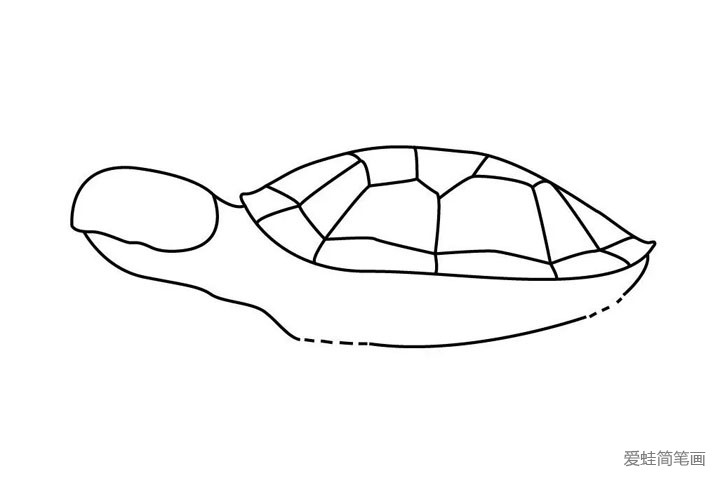 4.再画海龟的头，这么一看有些像手指呢...