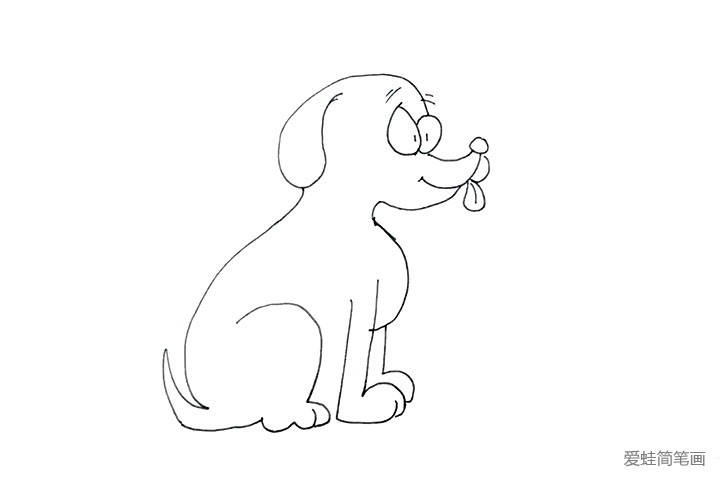 11.画出完整的后腿和尾巴， 这样坐着的小狗就画好了。