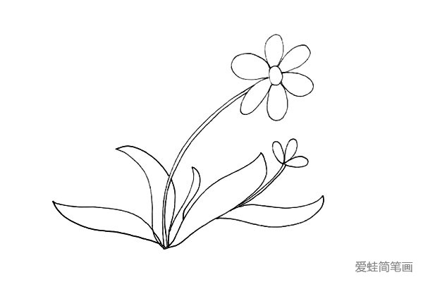 7.在右边花朵下方在画出一片叶子。