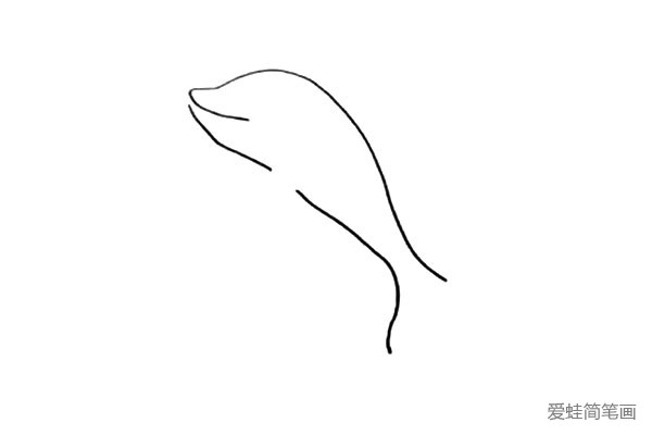 3.在嘴巴的下方画出海豚的肚皮.中间要留个缺口。