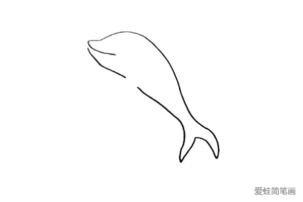 4.然后画出海豚剪刀形的小尾巴。