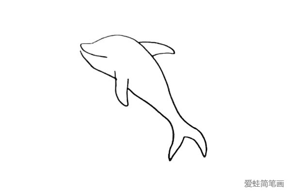 5.接着画出海豚两个相对应的鱼鳍。