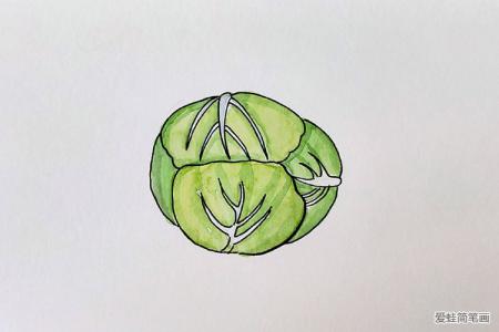 一组漂亮的蔬菜水彩画图片
