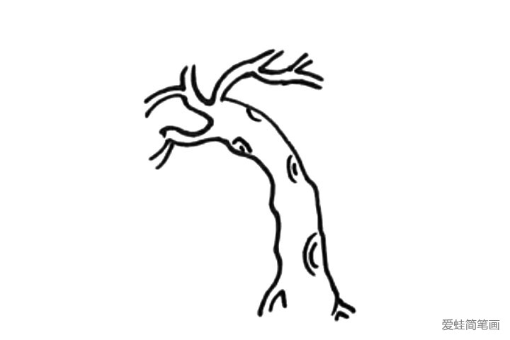3.然后画出树皮的纹理。
