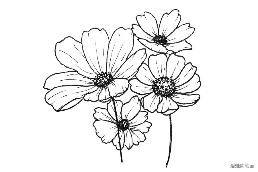 手绘黑白花朵图片2