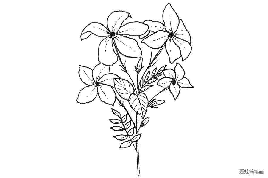 手绘黑白花朵图片3