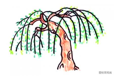 万条垂下绿丝绦 柳树简笔画教程