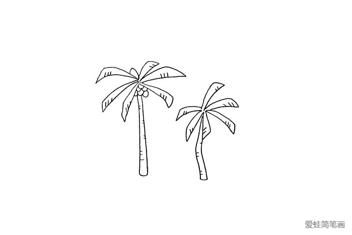 5.用同样的画法在旁边画出另一棵椰树。