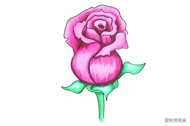 简单几步画漂亮的粉玫瑰
