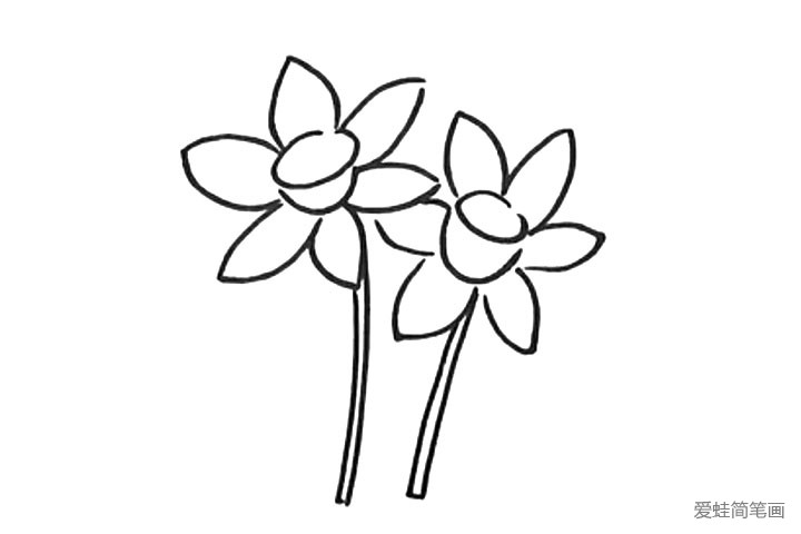 4.画出花茎。