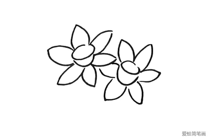 3.同样的方法再画出第二朵花。