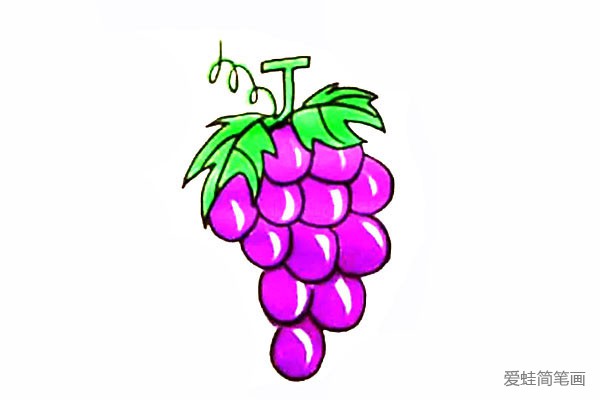 怎么画葡萄