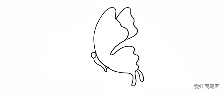4.画出蝴蝶的身体和头部。