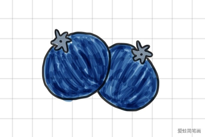 蓝莓简笔画图片