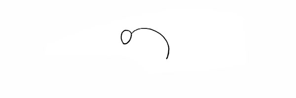 2.在画出小海狗圆圆的鼻子。