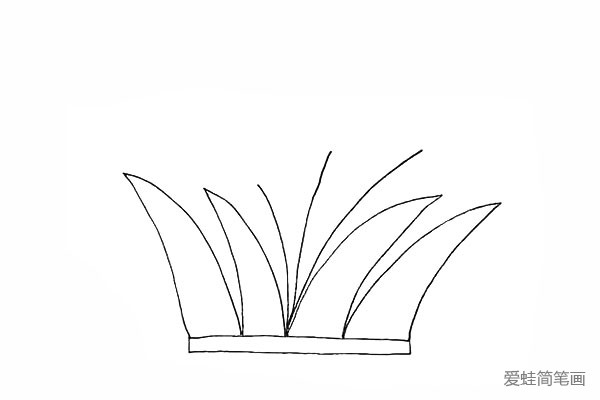 4.我们再画出长短不一的芦苇的茎。