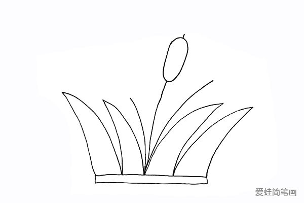 5.画出芦苇花是一个长长的椭圆状。