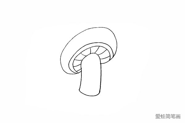 4.从边缘连接蘑菇柄画出里面的纹理。