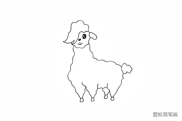9.向后画出羊驼短短的尾巴。