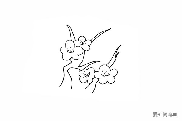 6.用同样的方法画出另一枝梅花。